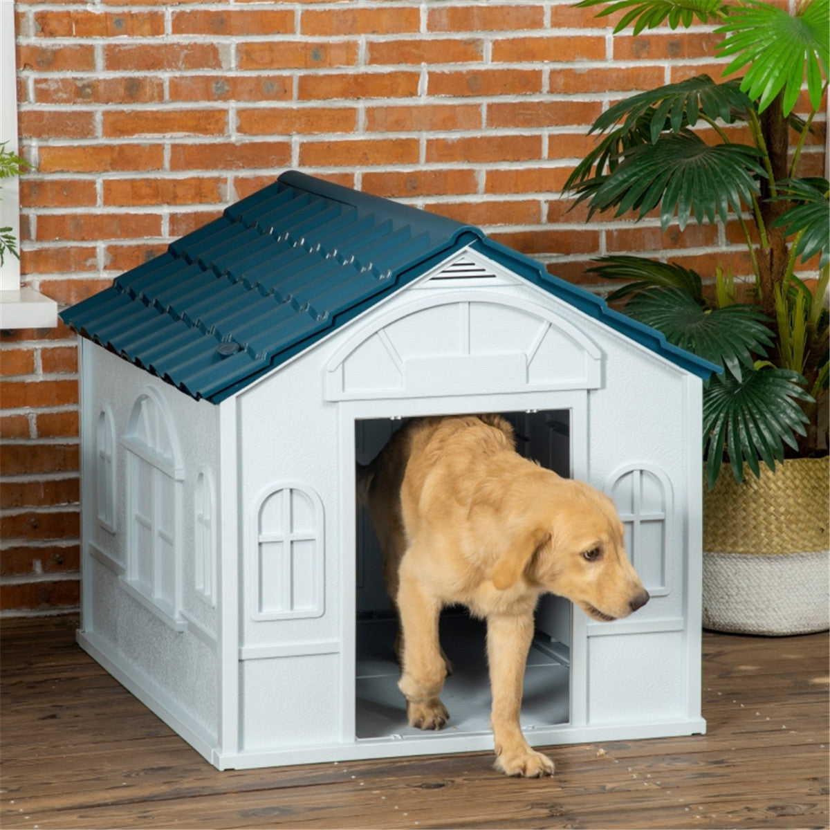 Multi Use Outdoor Waterproof Dog (up to 30kg) Kennel in Pastel Blue and Grey