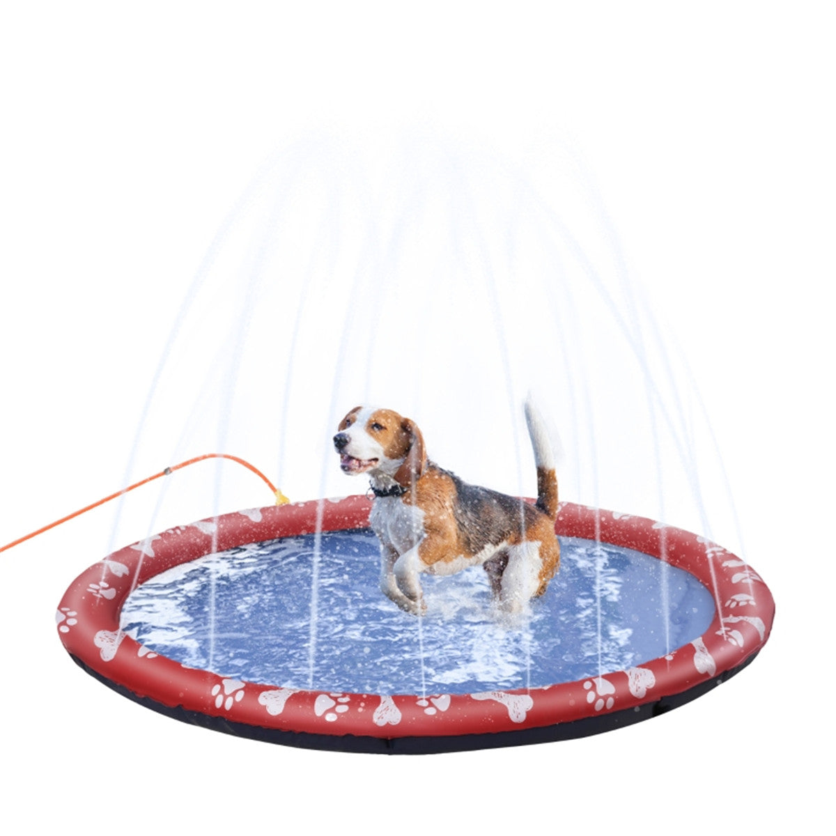 170CM Pet Sprinkler Splash Pool in Red and Blue