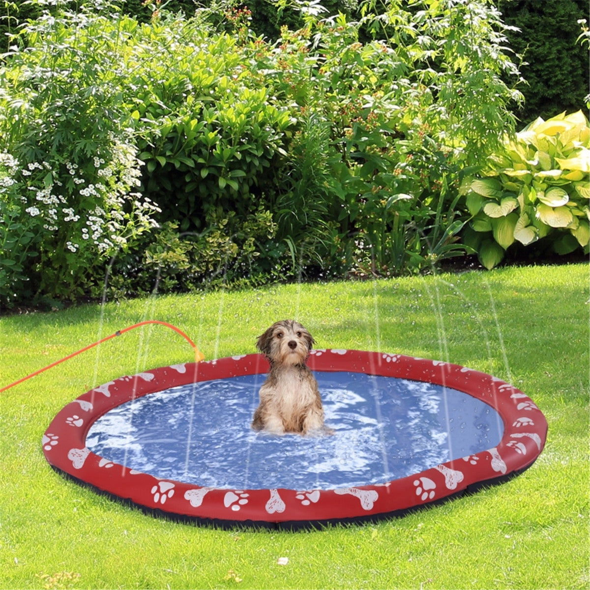 170CM Pet Sprinkler Splash Pool in Red and Blue