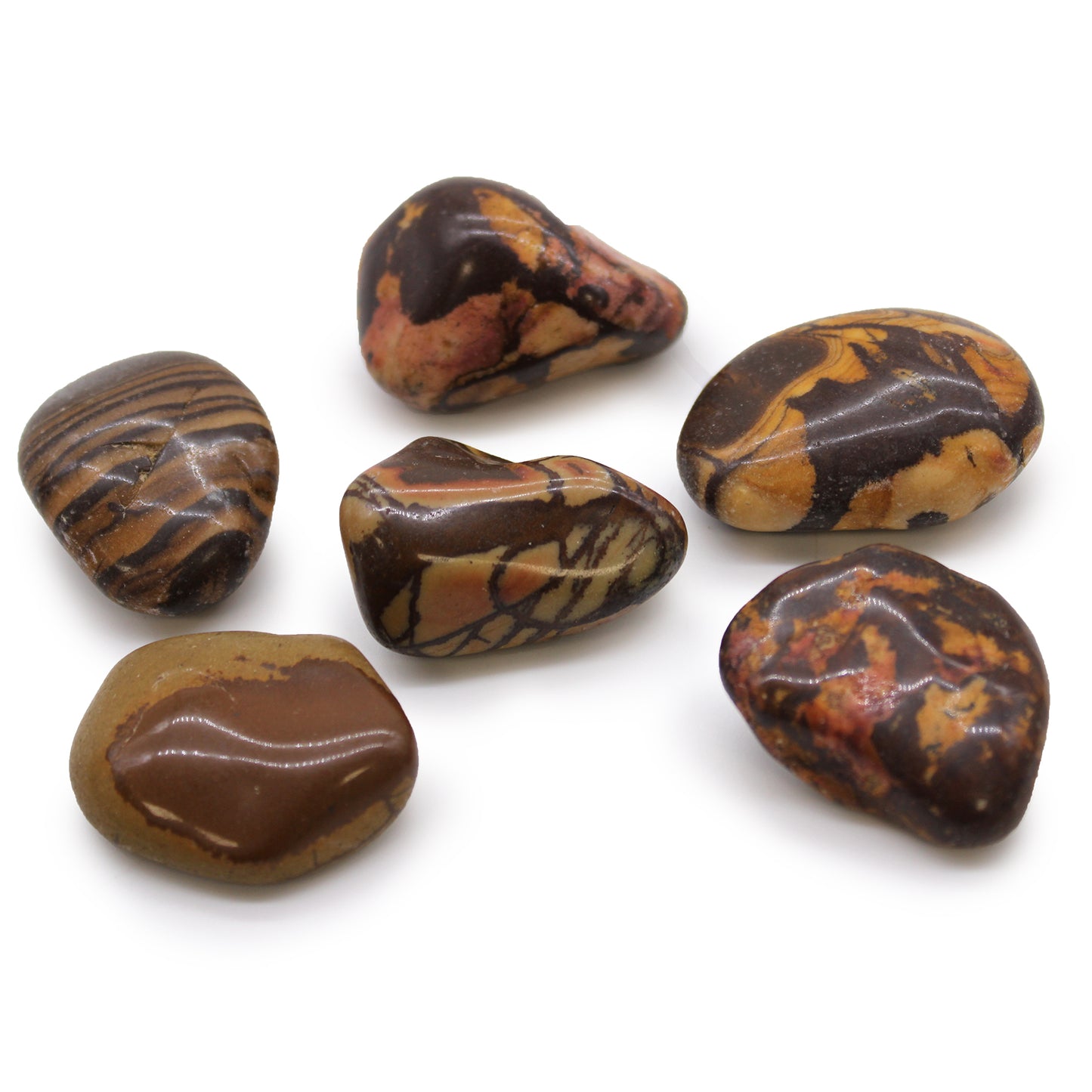 6 x Large / Naturally Selected African Tumble Stones H - Z