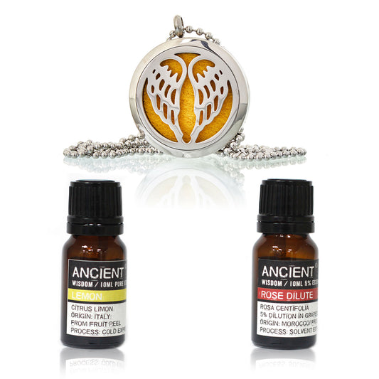 Diffuser Necklace and Essential Oils Gift Set