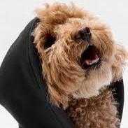 B*SS Dogs Soft Fleece Hoodie